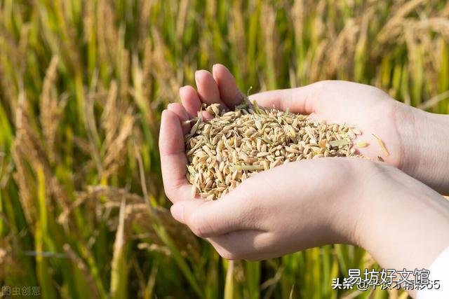 如果农民不种地了,你知道是谁最先扛不住吗?