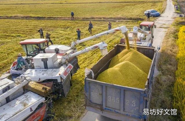 农村人马路上晒玉米,专家说违规应禁止,为什么农民还要晒?