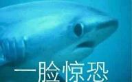 网上可以查看自己的身份证吗 用名字查身份证号码