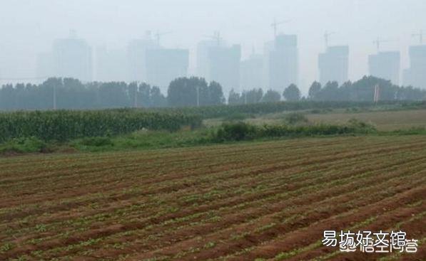 村集体征地补偿,村委和个人怎么分?
