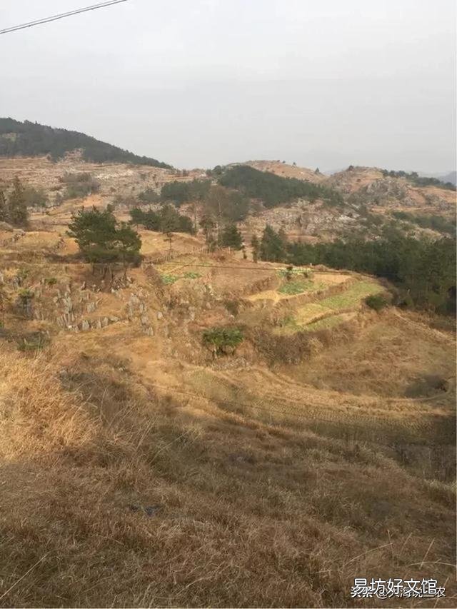 现在农村出现的怪事越来越多,而且越来越火爆,你们村出现了吗?