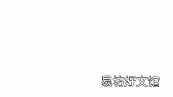 鸟类的资料简单介绍 鸟的资料