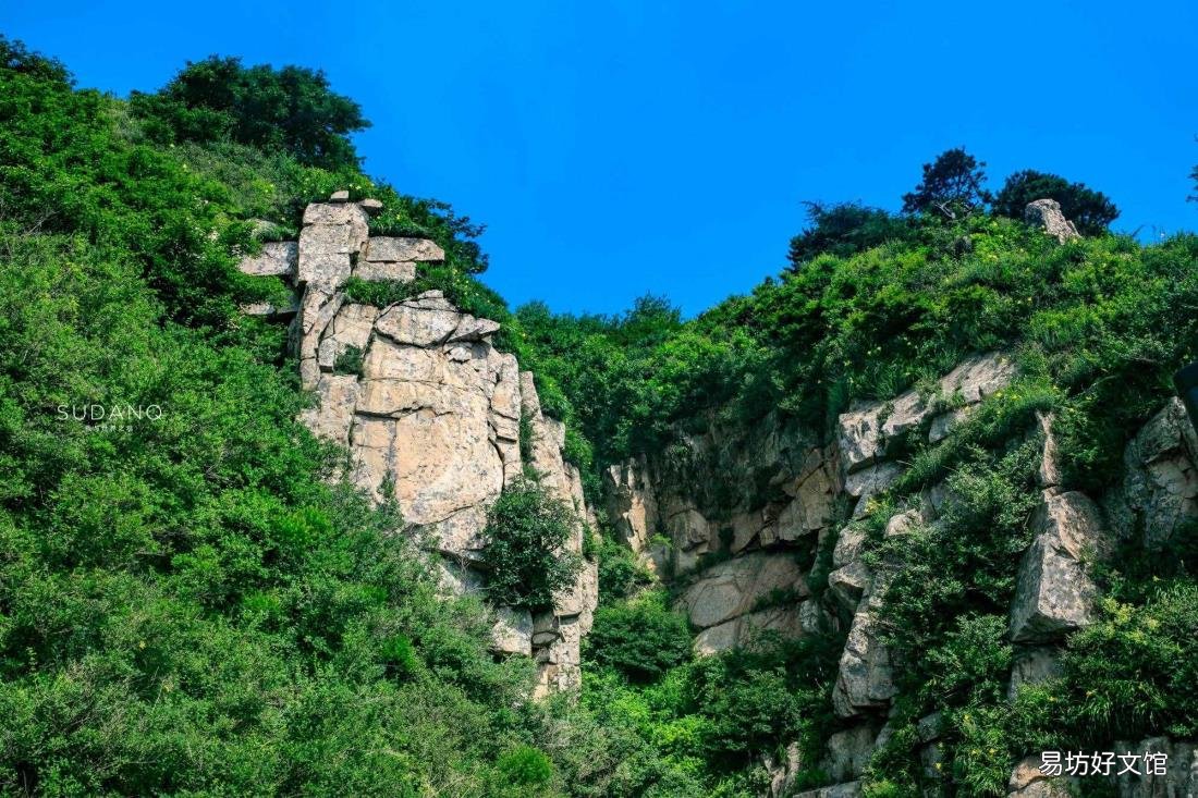 东岳是指是什么意思 东岳指的是