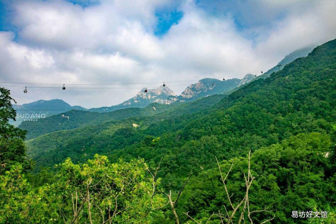东岳是指是什么意思 东岳指的是
