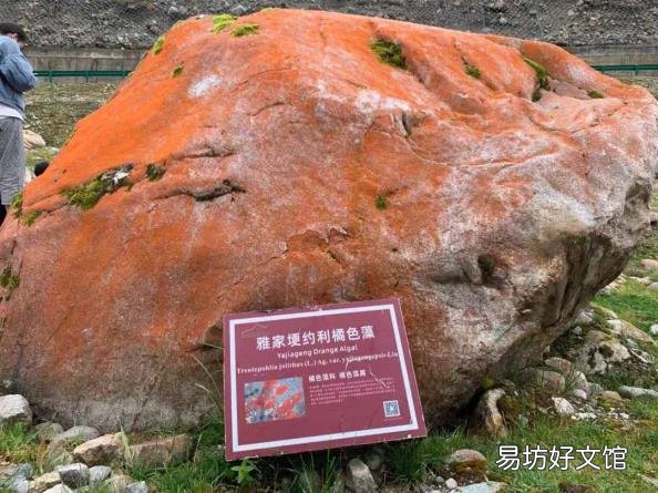 海螺沟旅游线路 海螺沟旅游