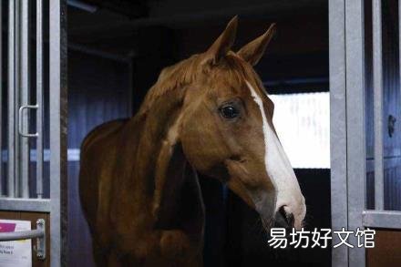 14磅等于多少kg 一磅等于多少kg