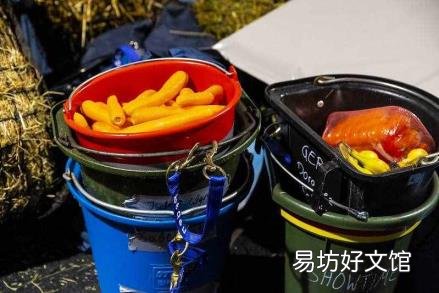 14磅等于多少kg 一磅等于多少kg