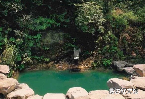 四大龙井茶之一产自哪里 四大名茶之一的龙井茶产地是
