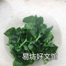 穿心莲吃法及作用 穿心莲怎么吃