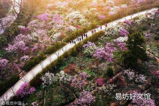 钟山在哪个省 钟山在哪个省