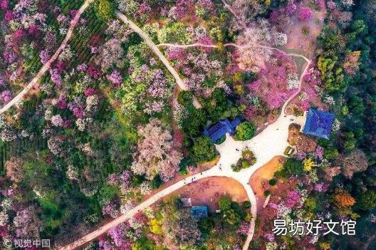 钟山在哪个省 钟山在哪个省