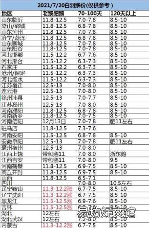 狮头鹅苗零售价格 狮头鹅鹅苗批发多少钱
