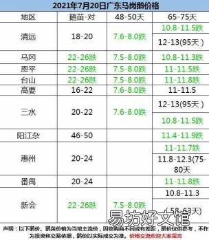 狮头鹅苗零售价格 狮头鹅鹅苗批发多少钱