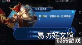 装备唯一被动的效果是指 装备的唯一效果