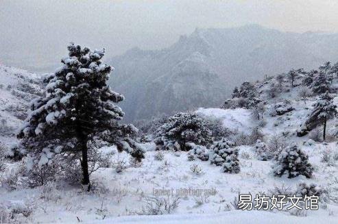谚语瑞雪兆丰年上一句 瑞雪兆丰年的上一句
