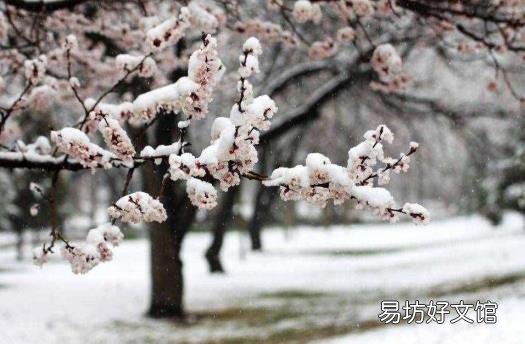 谚语瑞雪兆丰年上一句 瑞雪兆丰年的上一句