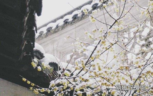 谚语瑞雪兆丰年上一句 瑞雪兆丰年的上一句