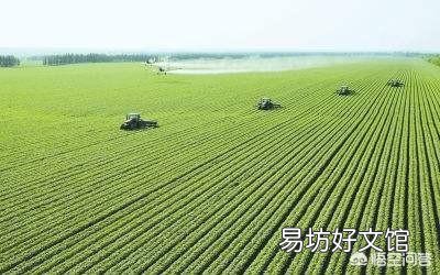 十年之后,种地的除了大户和合作社外,还有分散的小户吗?