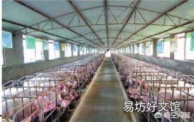 十年之后,种地的除了大户和合作社外,还有分散的小户吗?