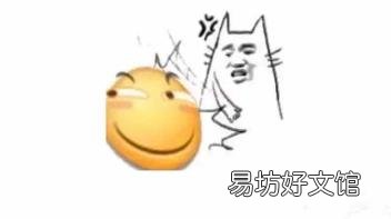 杨乃文证据歌词解析 证据歌词