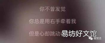 杨乃文证据歌词解析 证据歌词