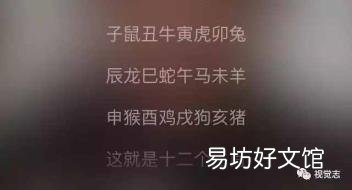 杨乃文证据歌词解析 证据歌词