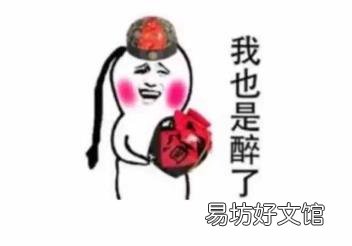 杨乃文证据歌词解析 证据歌词