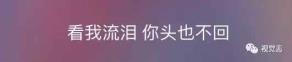 杨乃文证据歌词解析 证据歌词