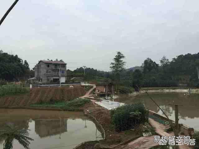 农村宅基地周围有废地,原为自己栽树,邻居强行占据怎么维权?