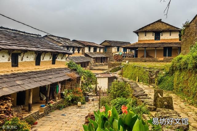 农村宅基地周围有废地,原为自己栽树,邻居强行占据怎么维权?