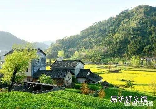 农村宅基地周围有废地,原为自己栽树,邻居强行占据怎么维权?