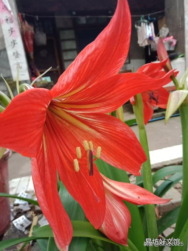 昨天俺村下发了〈农村集体经济组织股权证〉请问有什么用?