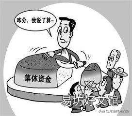 村党支部书记是否能监管村内财务?