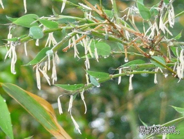 在自己家山林地盖民宿可以吗？注意什么？
