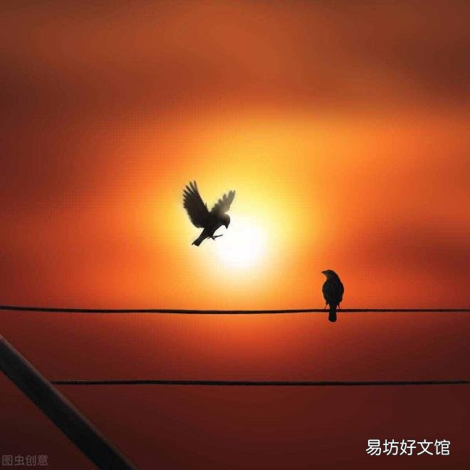 12个情人节分别是什么 一年有多少个情人节