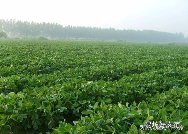 至少种多少亩地,农民才能过上体面的生活?