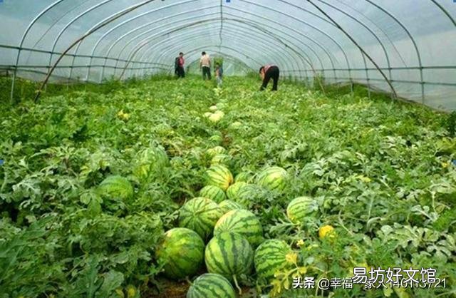 至少种多少亩地,农民才能过上体面的生活?