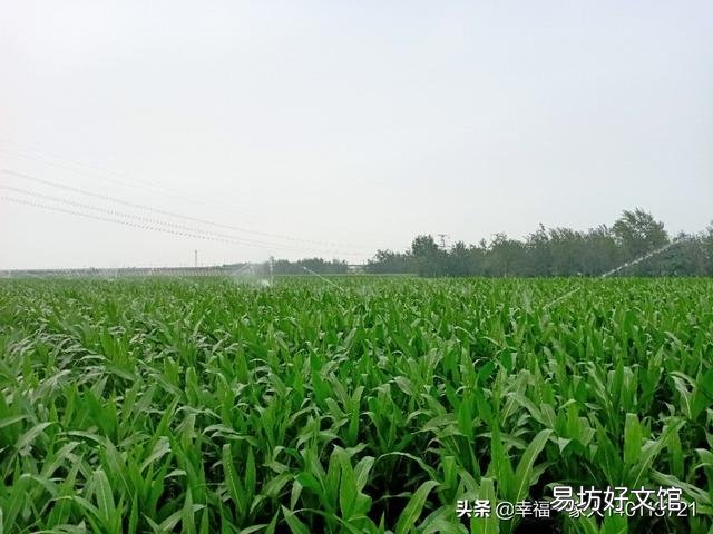 至少种多少亩地,农民才能过上体面的生活?