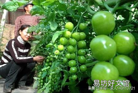 至少种多少亩地,农民才能过上体面的生活?