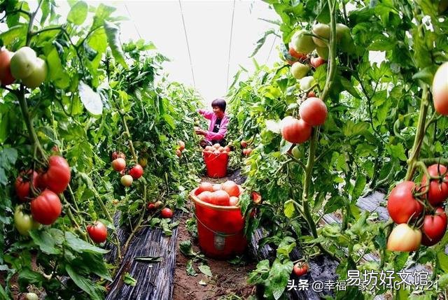 至少种多少亩地,农民才能过上体面的生活?