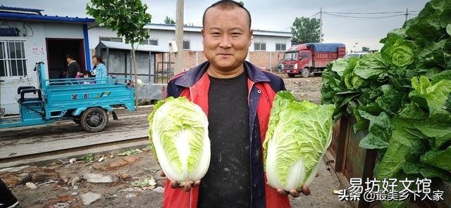 至少种多少亩地,农民才能过上体面的生活?