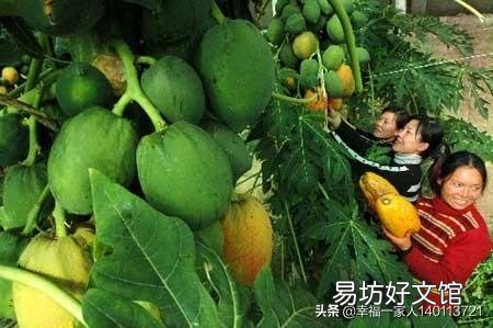 至少种多少亩地,农民才能过上体面的生活?
