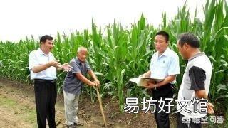 村委会有权收回村民承包的土地吗？