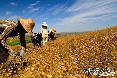 村委会有权收回村民承包的土地吗？