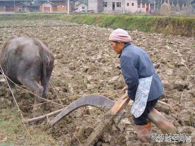 村委会有权收回村民承包的土地吗？