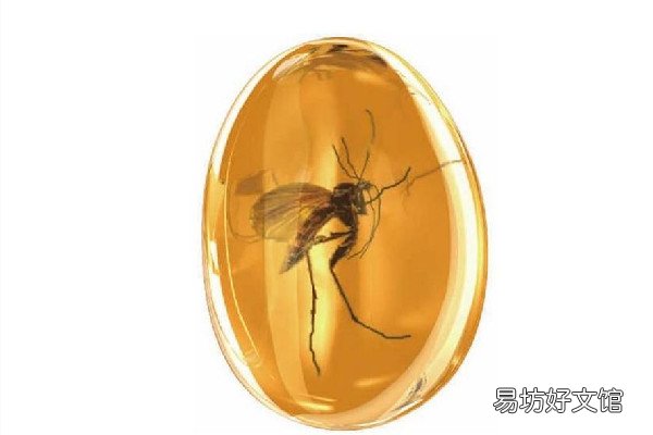 琥珀是透明的好还是不透明的好 琥珀的等级如何划分