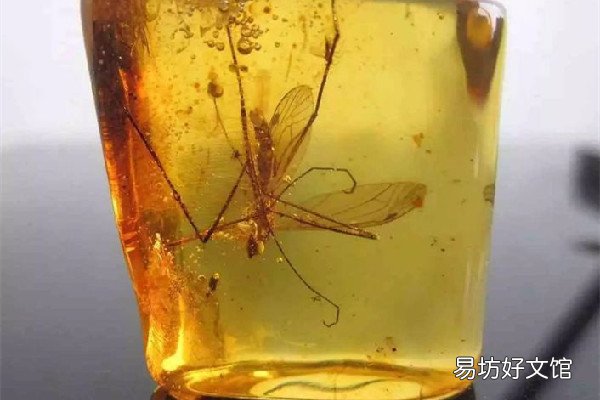 琥珀是透明的好还是不透明的好 琥珀的等级如何划分