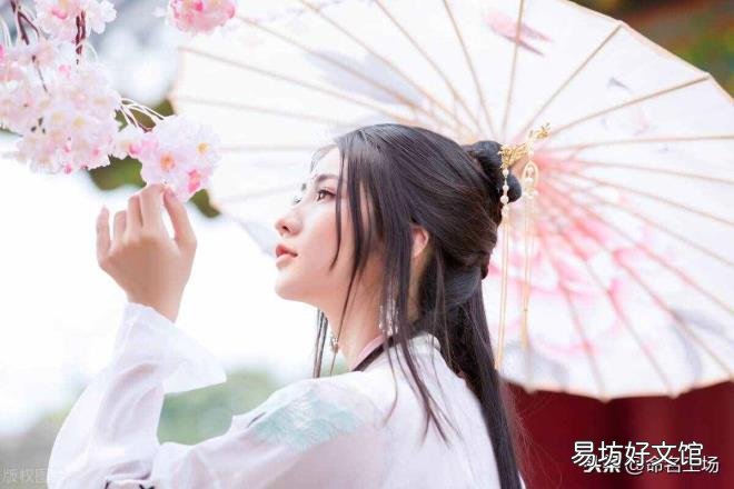 苒字取名寓意 芮怎么读