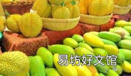 东南亚旅游报价康辉 东南亚旅游多少钱