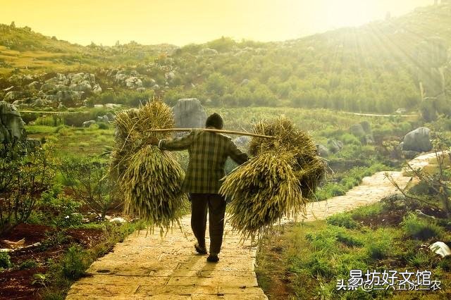 农民种地一年收入不如外出打工一个月,为什么还要种地呢?